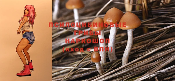 таблы Верхний Тагил